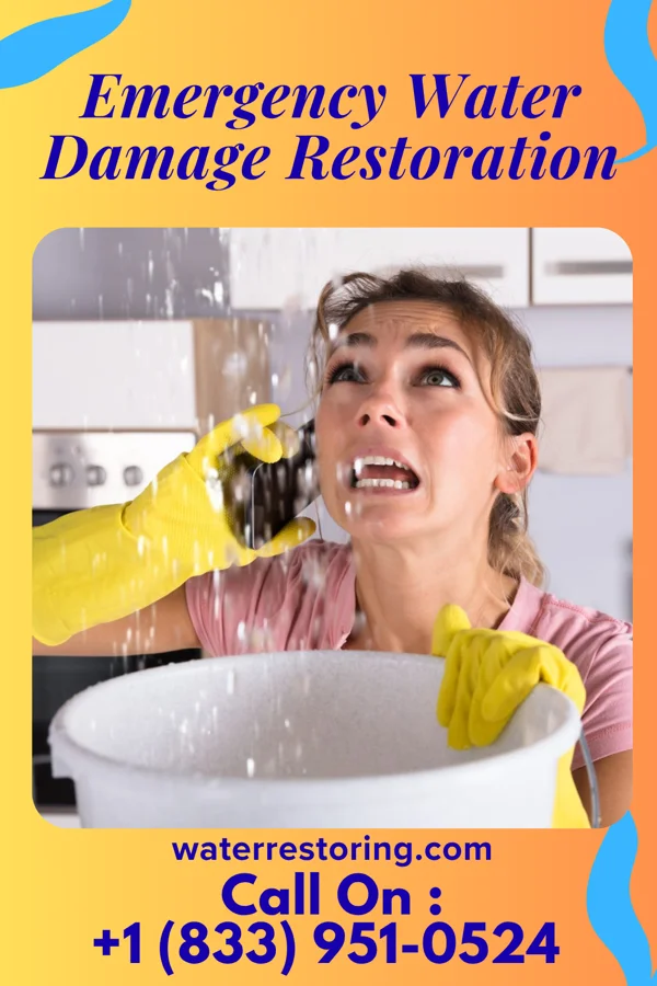 Emergency Water Damage Restoration in Swan Quarter, NC